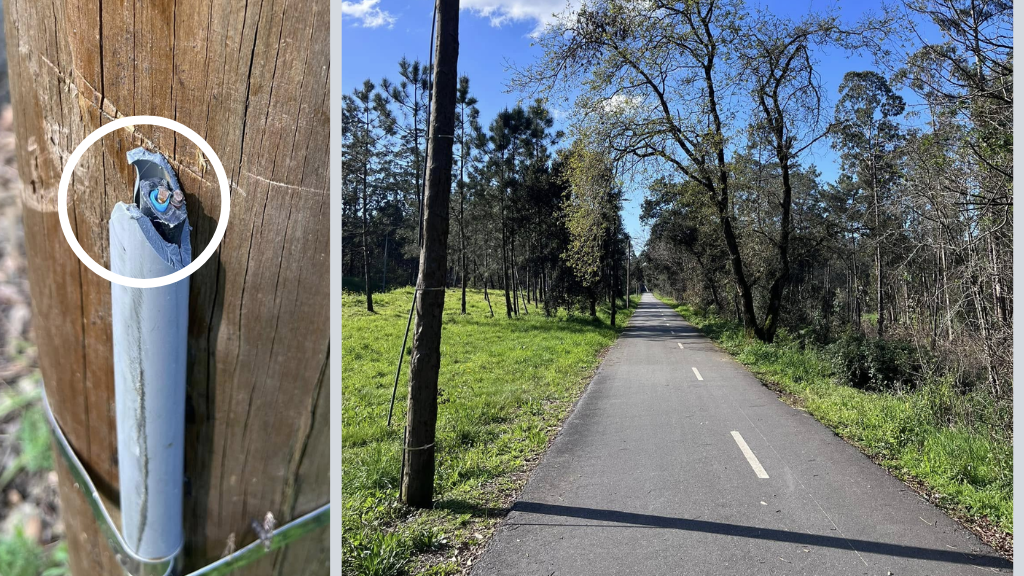 Ciclovia Famalicão - Póvoa: Vandalizaram quase 60 postes de iluminação para furtar cobre