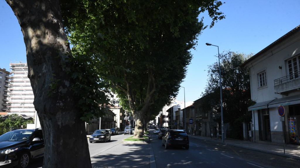 Famalicão: Podas nas árvores da Avenida 25 de Abril e da Rua Ernesto Carvalho condicionam trânsito e estacionamento