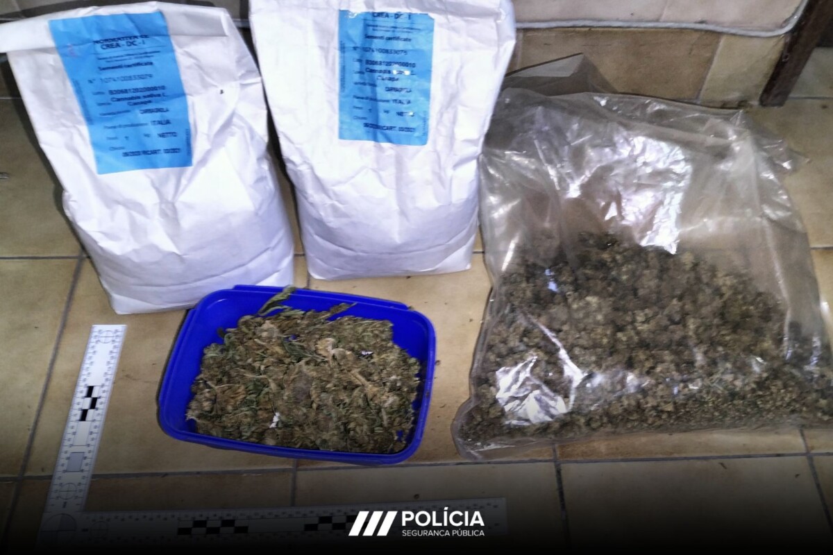 Famalicão: Jovem de 21 anos apanhado com droga em casa e carro furtado