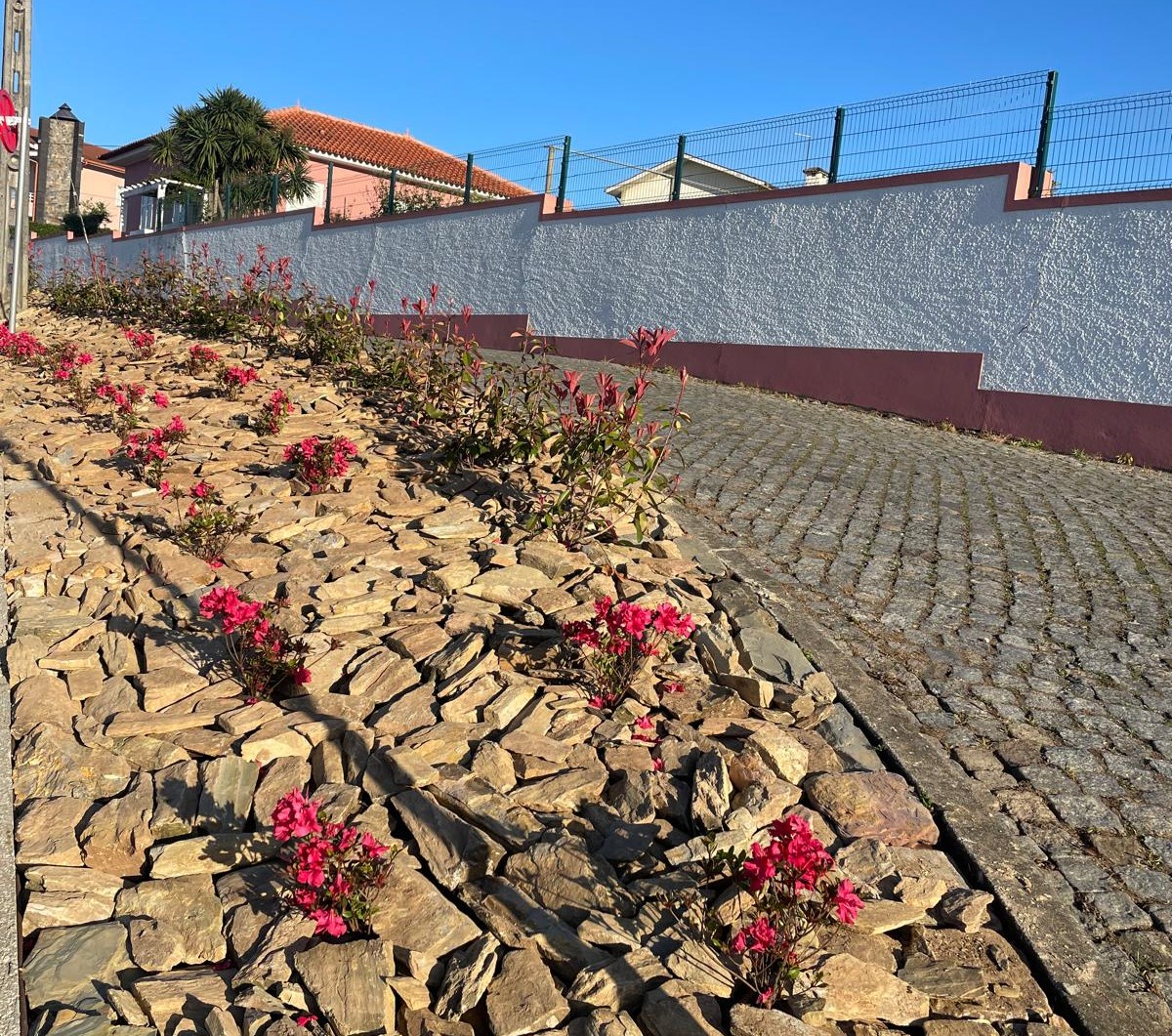 Famalicão: Ribeirão conclui intervenção no Jardim do Morro da Portela