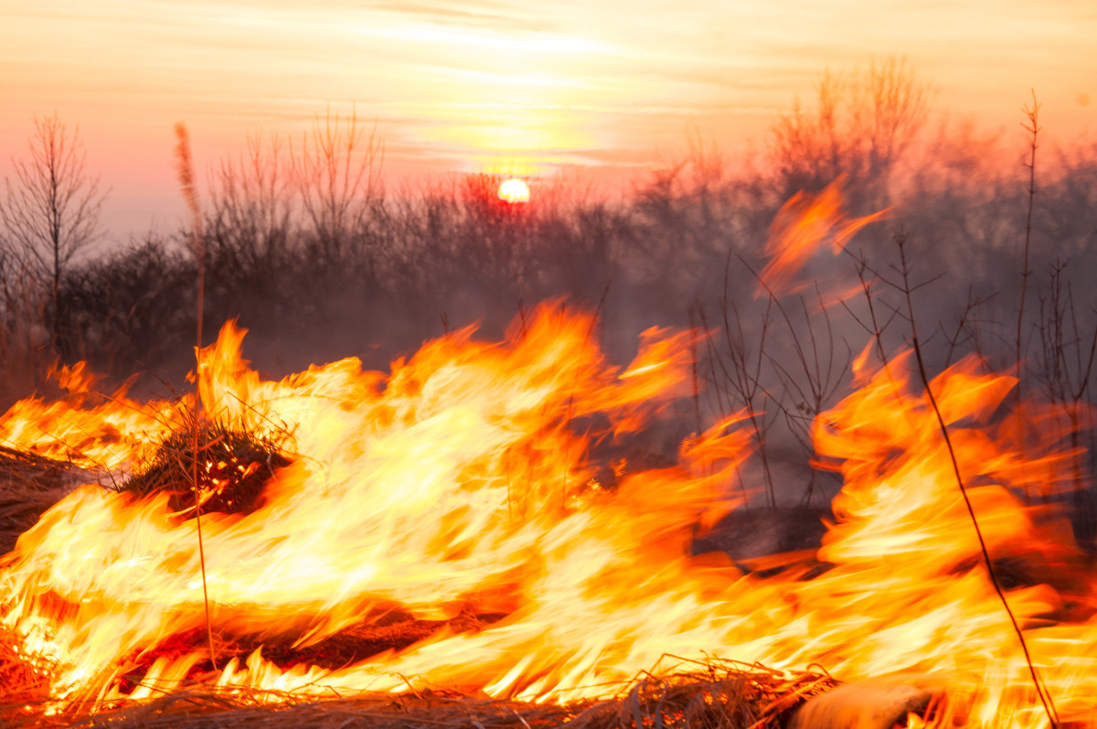 Famalicão: Proibidas queimas e queimadas até 31 de outubro