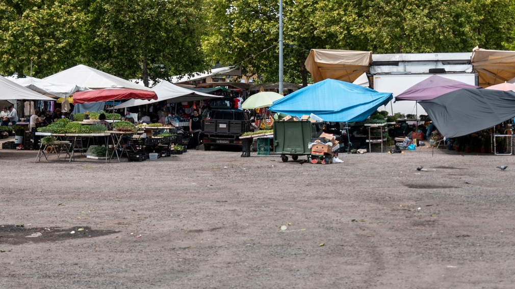 Famalicão: PS acusa a Câmara de «eleitoralismo»