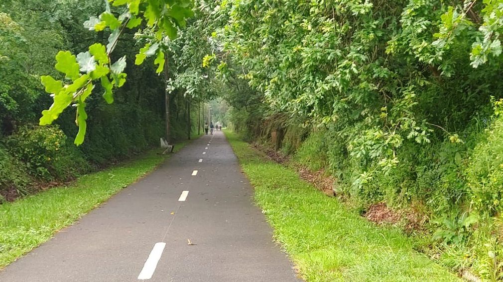 Famalicão: Ecopista de Lousado vai continuar como está