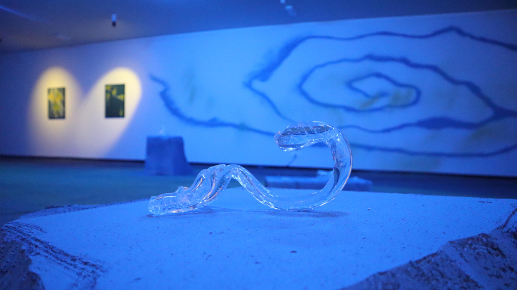 Famalicão: Exposição na Casa do Território alerta para as alterações climáticas