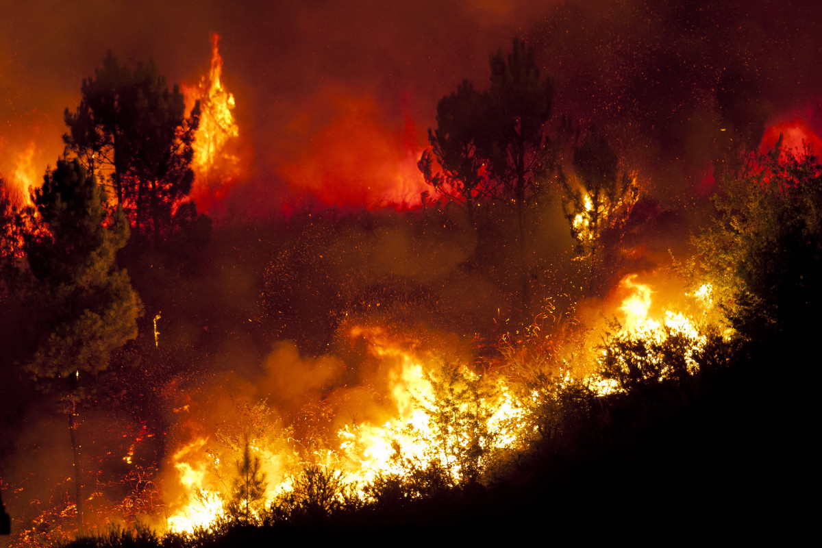 Madrugada de incêndios florestais em Famalicão: Arnoso Sta Maria (02h30) e Fradelos (06h00)
