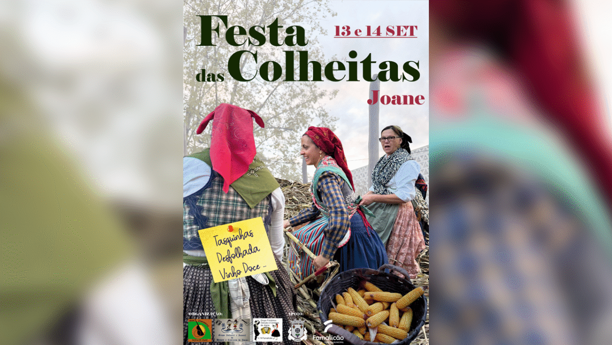 Famalicão: Tasquinhas, desfolhada e vinho doce em Joane