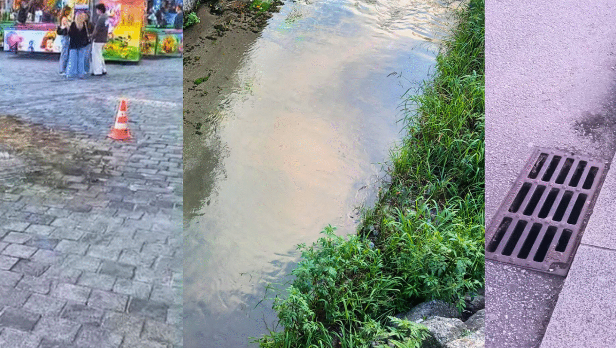 Famalicão: CHEGA exige reforço do saneamento e controlo de pragas no Rio Pelhe e Parque da Devesa e Parque D. Maria II