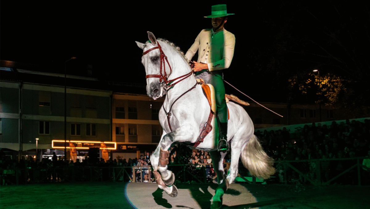Famalicão: Desfile de gado e de charretes, espetáculo equestre, desfolhada e música no centro da cidade