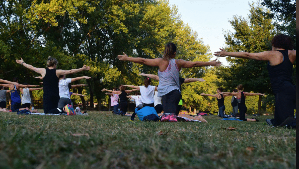 Famalicão: PAN promove sessão de yoga no parque da Devesa