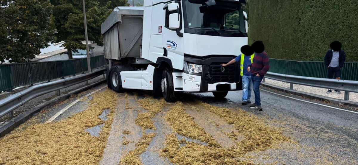 Famalicão: Pesado entra em despiste e fica atravessado na via (Louro)