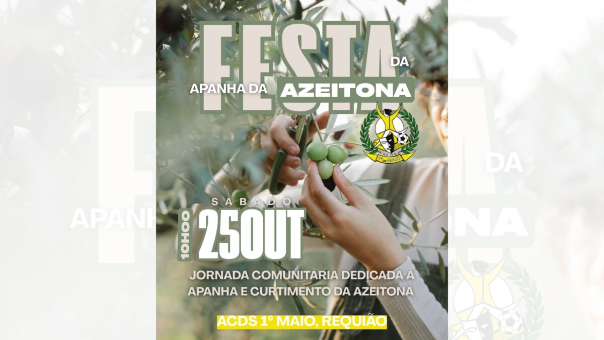Famalicão: Festa da Apanha da Azeitona dia 25 de outubro, em Requião