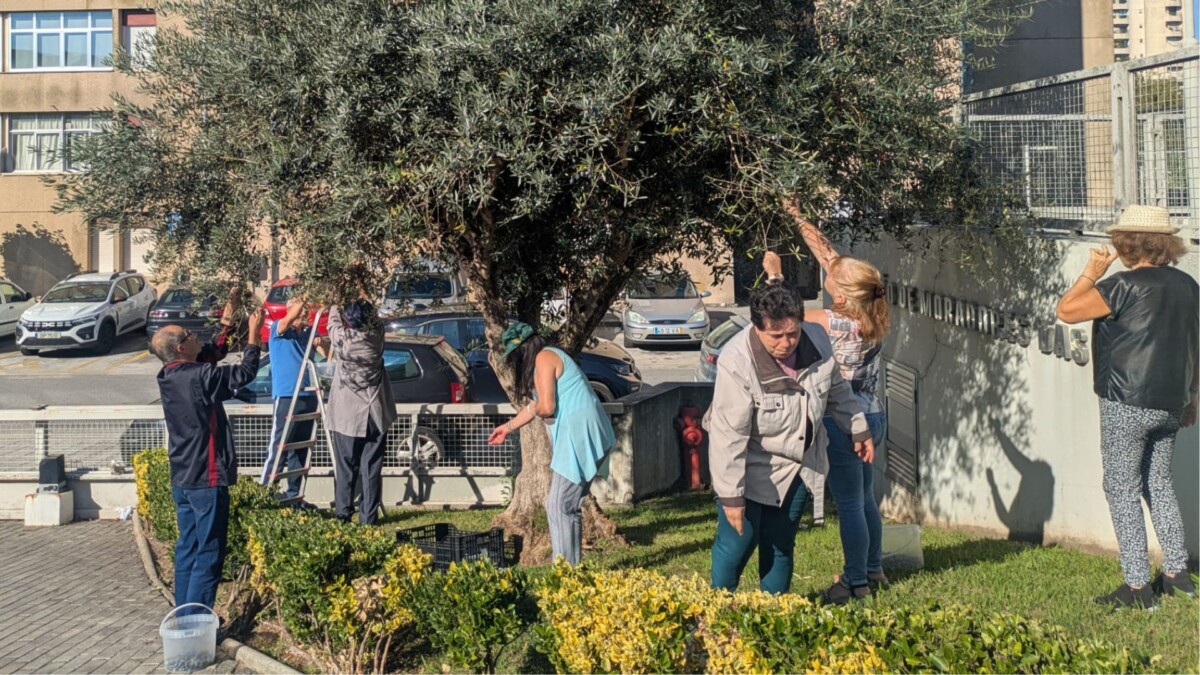 Famalicão: Idosos do centro de dia das Lameiras revivem tradição