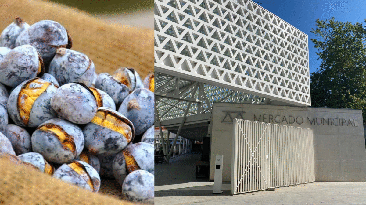 Praça / Mercado de Famalicão celebra o S. Martinho com oferta de castanhas