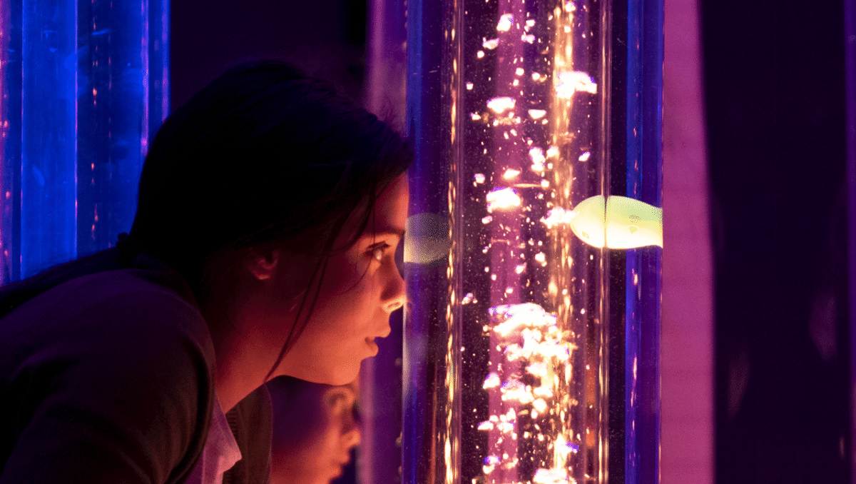 Famalicão: Férias Inclusivas de Natal para 30 crianças e jovens