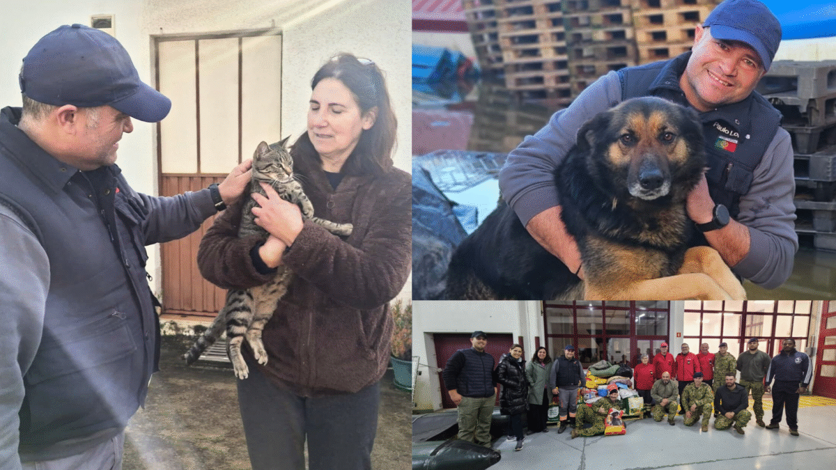 Famalicão Solidário: Mais de 4 toneladas de ajuda para animais afetados pelo mau tempo